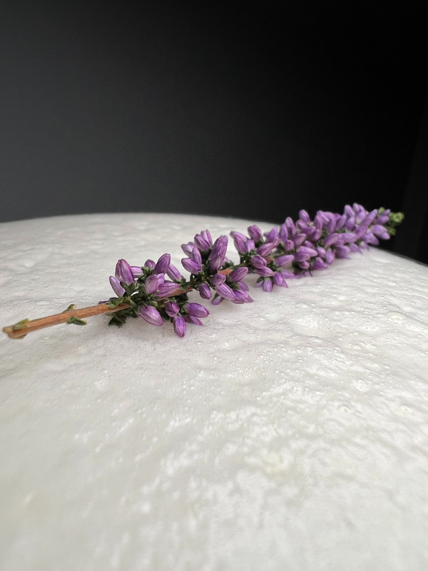 cocktail schuim lavendel